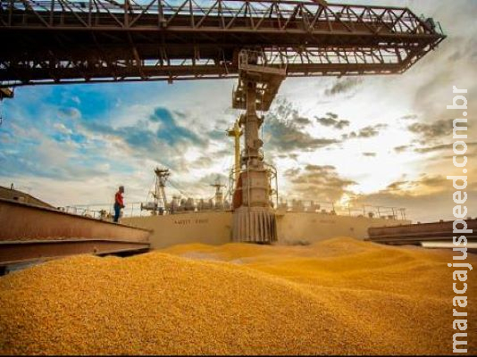 Balança comercial aponta MS com superavit de US$ 979,2 milhões