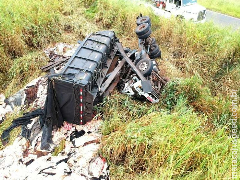 Caminhão carregado com couro tomba entre Bataguassu e Brasilândia