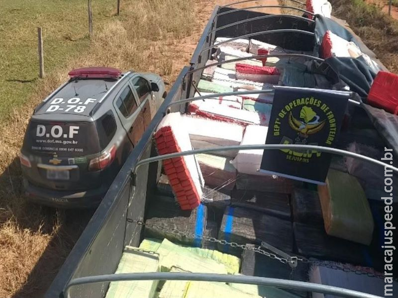Caminhão com quase 9 toneladas de maconha é apreendido pelo DOF Caminhão com quase 9 toneladas de maconha é apreendido pelo DOF