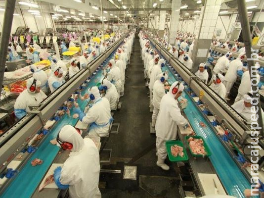 Com surtos em MS, frigorífico vai testar coronavírus em todos os funcionários