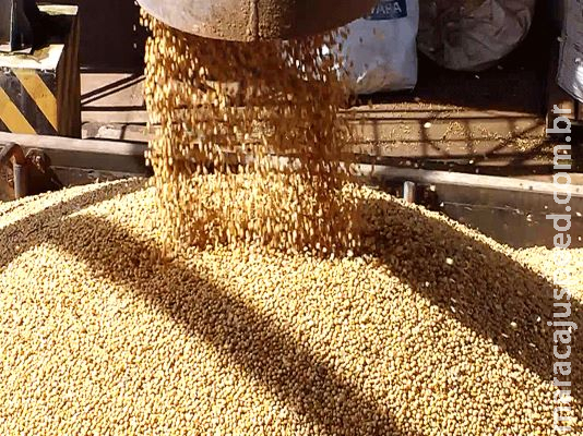 Em ano de perdas na economia com a Covid-19, safra deve ser recorde em 2020 Em ano de perdas na economia com a Covid-19, safra deve ser recorde em 2020