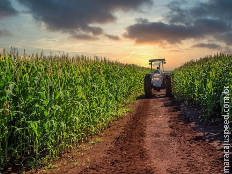 Governo adota medidas para desburocratizar o acesso ao crédito rural