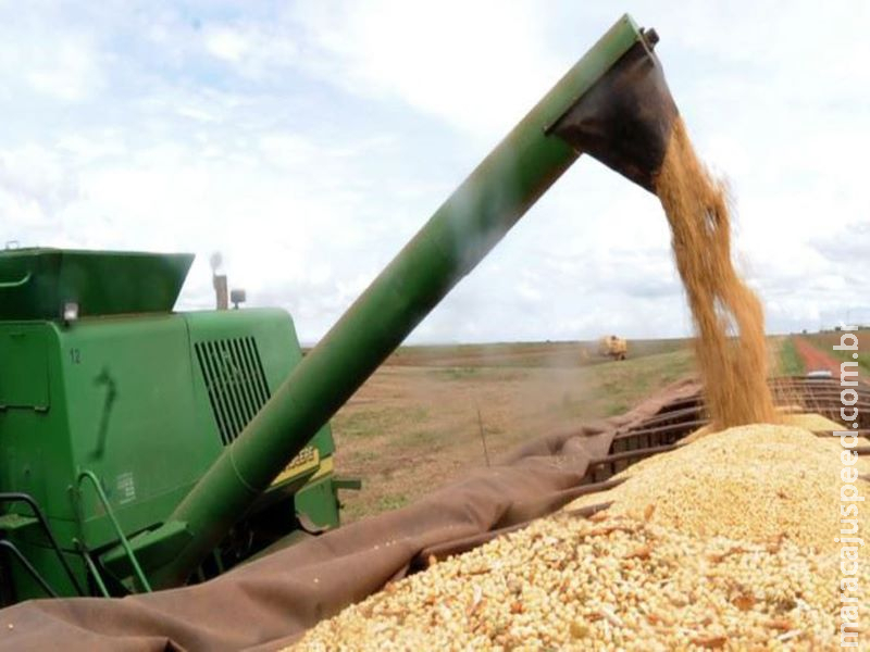 Ipea: setor agropecuário pode crescer até 2,5% apesar da covid-19 Ipea: setor agropecuário pode crescer até 2,5% apesar da covid-19