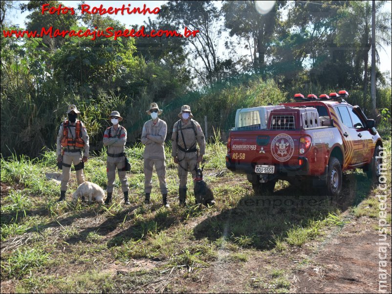 Maracaju: Corpo de Bombeiros utiliza cães farejadores na tentativa de localizar homem desaparecido Maracaju: Corpo de Bombeiros utiliza cães farejadores na tentativa de localizar homem desaparecido