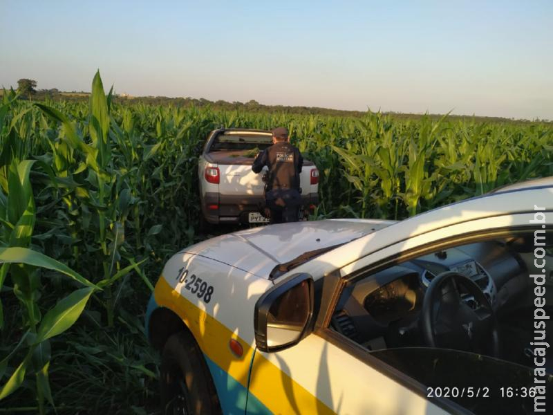 Maracaju: PMRv apreende 450 kg de agrotóxico contrabandeado, avaliado em R$ 157,5 mil