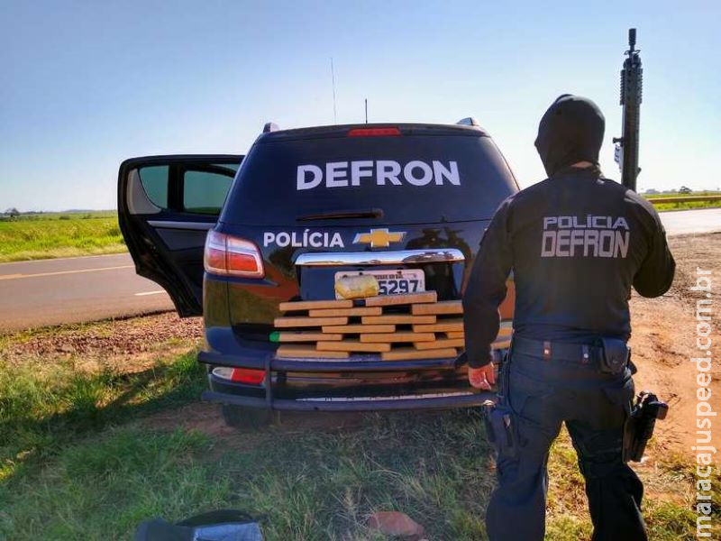 Morador de Goiânia é detido transportando drogas em ônibus no MS Morador de Goiânia é detido transportando drogas em ônibus no MS