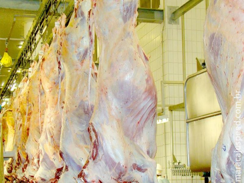 MS faturou US$ 300 milhões com exportações de carnes desde janeiro