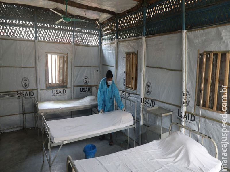 ONU busca ligação animal a infecções humanas pela COVID-19 ONU busca ligação animal a infecções humanas pela COVID-19