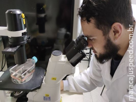 Pesquisadores poderão prorrogar bolsas de mestrado e doutorado por até três meses