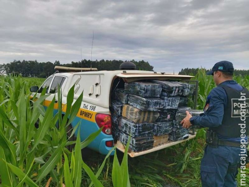 Polícia encontra mais de meia tonelada de maconha abandonada em milharal
