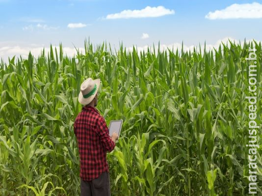 Produtores rurais contrataram R$ 156,6 bi em crédito de julho de 2019 a abril deste ano Produtores rurais contrataram R$ 156,6 bi em crédito de julho de 2019 a abril deste ano