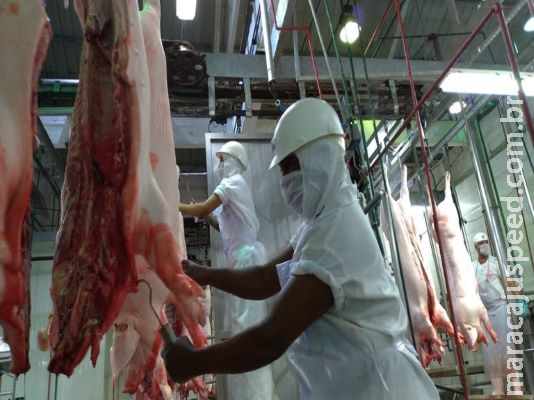 Serviço de Inspeção Federal mantém atividades durante a pandemia do novo Coronavírus Serviço de Inspeção Federal mantém atividades durante a pandemia do novo Coronavírus