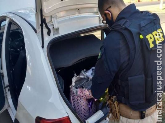 Adolescente de 14 anos é apreendido com skunk em rodovia