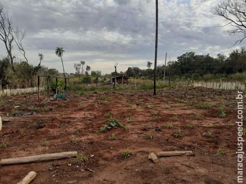 Assentada é autuada em R$ 5 mil por invadir e degradar matas ciliares Assentada é autuada em R$ 5 mil por invadir e degradar matas ciliares