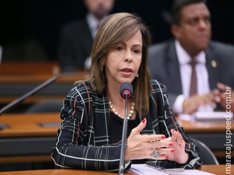 Câmara lança cartilha para ajudar candidaturas de mulheres nas eleições de 2020 Câmara lança cartilha para ajudar candidaturas de mulheres nas eleições de 2020