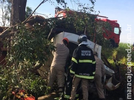 Caminhoneiro perde o controle da direção e morre após colidir em árvore Caminhoneiro perde o controle da direção e morre após colidir em árvore