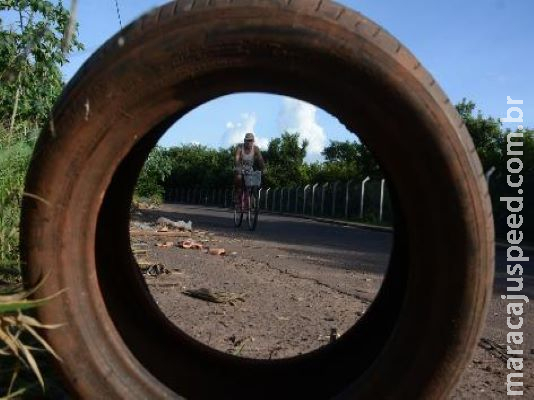 Capital tem mais casos de dengue que na epidemia do ano passado 