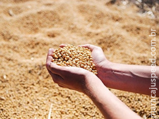Exportações do agro batem recorde de US$ 42 bilhões de janeiro a maio Exportações do agro batem recorde de US$ 42 bilhões de janeiro a maio
