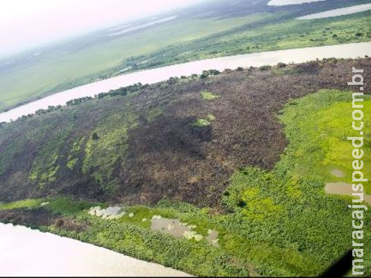 Governo vai poder contratar brigadistas para combater incêndios em reservas