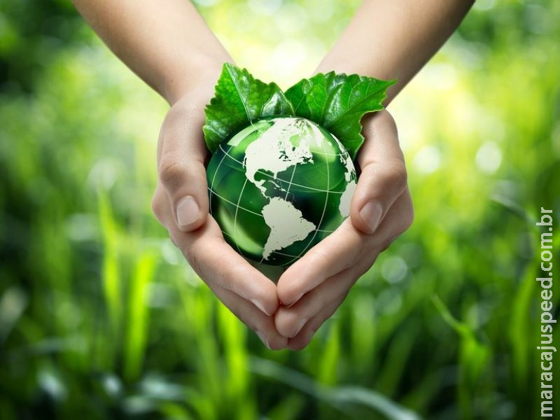 Mapa e CBI lançam Plano de Investimento para Agricultura Sustentável