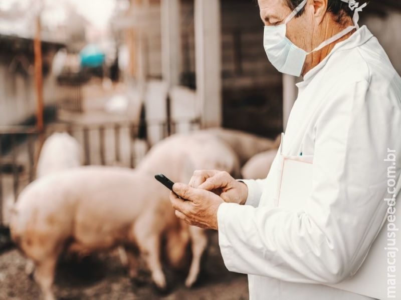 Mapa publica Guia de Boas Práticas Regulatórias para área de defesa agropecuária