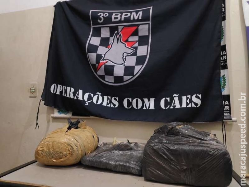 Menor é detido e diz que tráfico seria para ajudar tratamento da mãe com câncer Menor é detido e diz que tráfico seria para ajudar tratamento da mãe com câncer