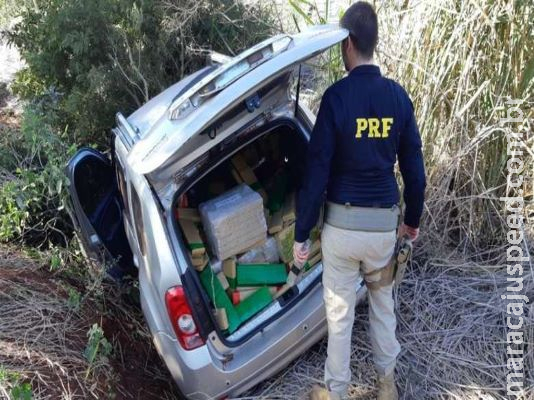 Motorista abandona veículo com maconha após perseguição e foge por milharal Motorista abandona veículo com maconha após perseguição e foge por milharal