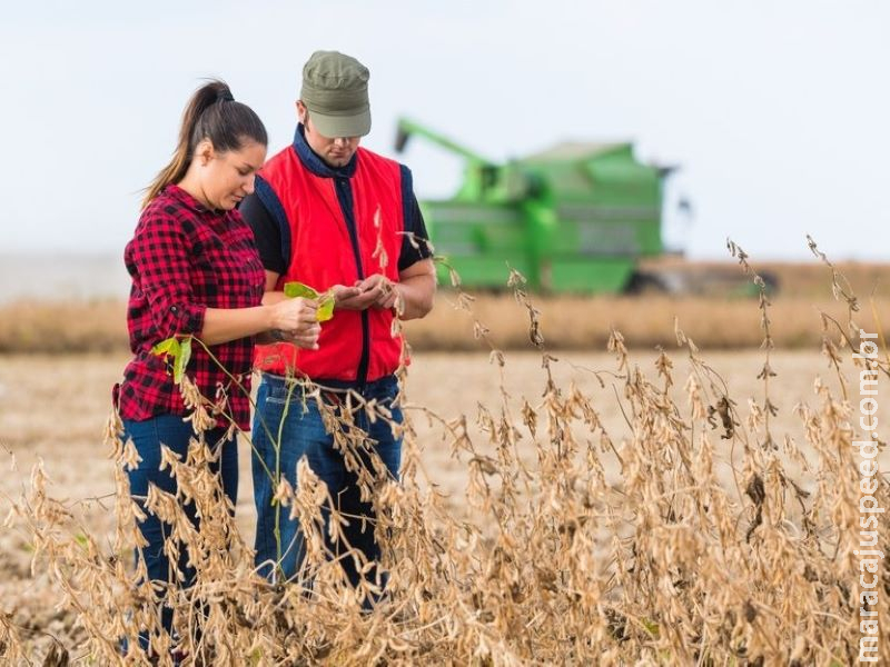 Programa de Residência Agrícola levará qualificação profissional a estudantes Programa de Residência Agrícola levará qualificação profissional a estudantes