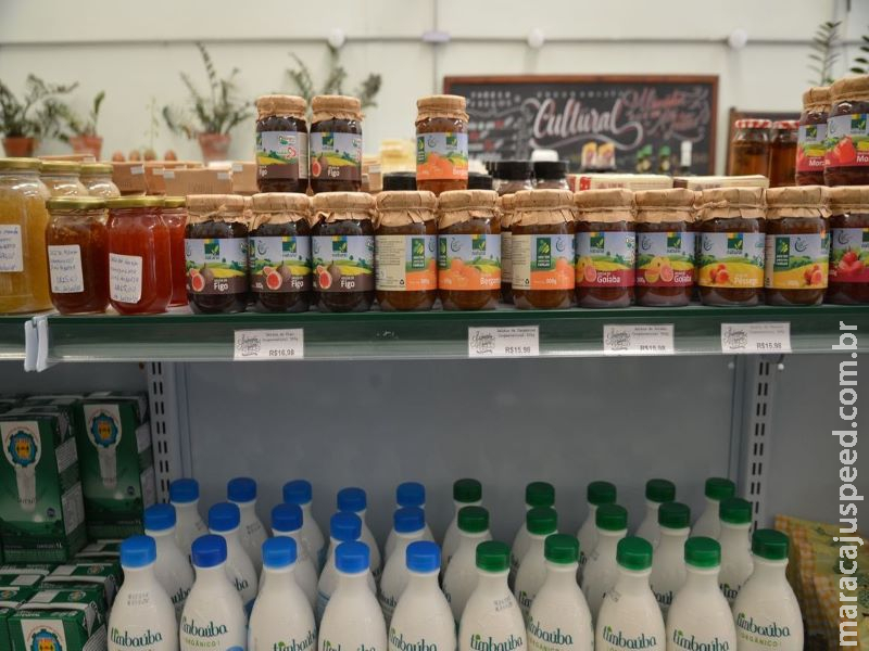 Programa oferece apoio a empresas no setor de alimentos Programa oferece apoio a empresas no setor de alimentos