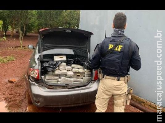 Volume de apreensões de droga foi recorde em maio Volume de apreensões de droga foi recorde em maio