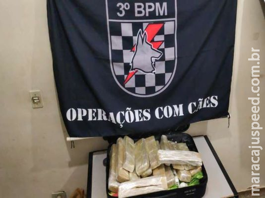 Adolescente de 14 anos é apreendida tentando levar maconha para SC Adolescente de 14 anos é apreendida tentando levar maconha para SC