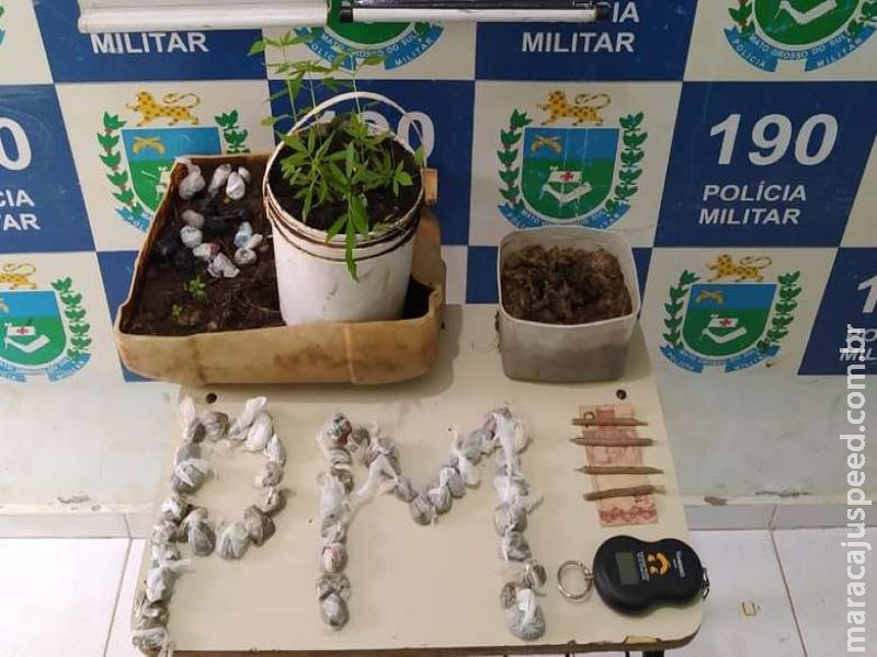 Adolescente é apreendido após ser flagrado com 78 porções de maconha Adolescente é apreendido após ser flagrado com 78 porções de maconha