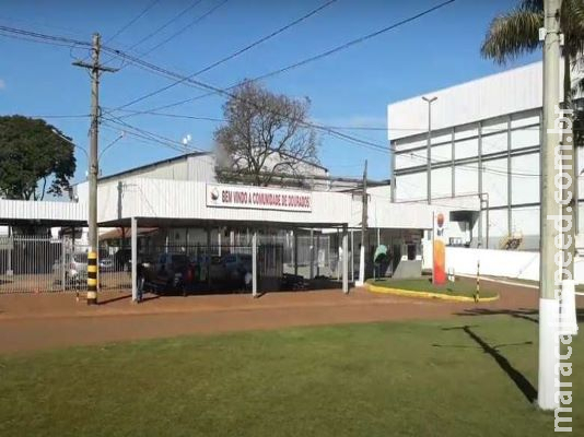 Alfândega da China suspende exportações de frango de empresa em Dourados