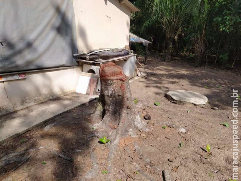 Ambiental multa homem em mais de R$ 5 mil por degradar mata ciliares Ambiental multa homem em mais de R$ 5 mil por degradar mata ciliares