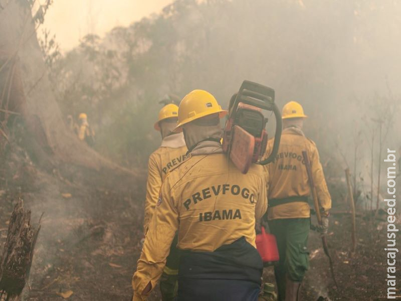 Brasil lidera lista de países com maior perda florestal na última década, mostra relatório