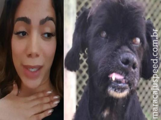 Com ajuda de Luísa Mell, Anitta adota cãozinho Com ajuda de Luísa Mell, Anitta adota cãozinho