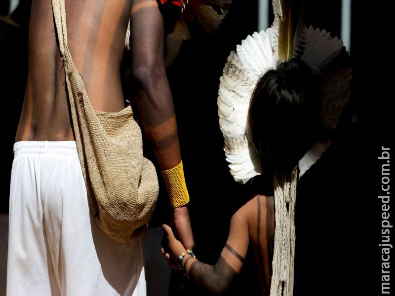 Comunidades indígenas já receberam mais de 280 mil cestas básicas Comunidades indígenas já receberam mais de 280 mil cestas básicas
