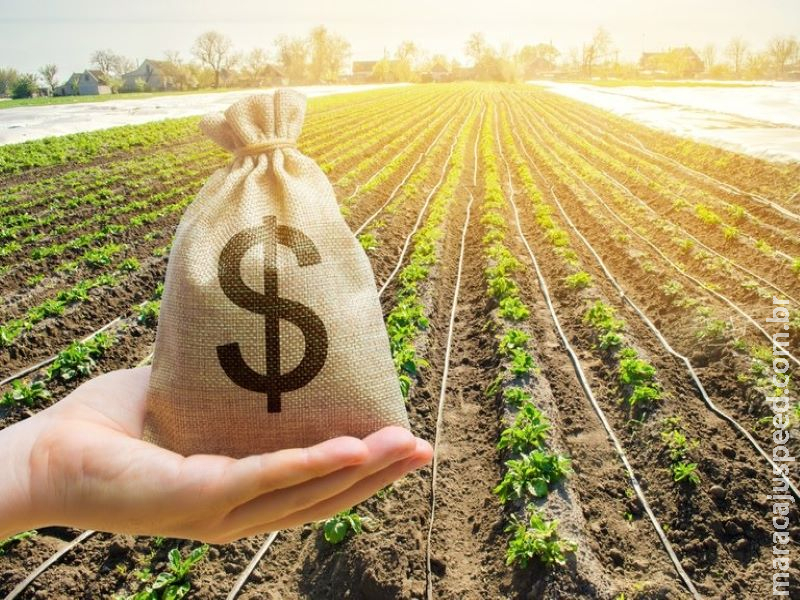 Contratações do crédito rural da safra 2019/2020 fecharam em R$ 225 bilhões Contratações do crédito rural da safra 2019/2020 fecharam em R$ 225 bilhões