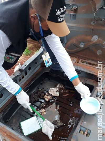 Dourados tem 1162 casos de dengue e 47 de chikungunya