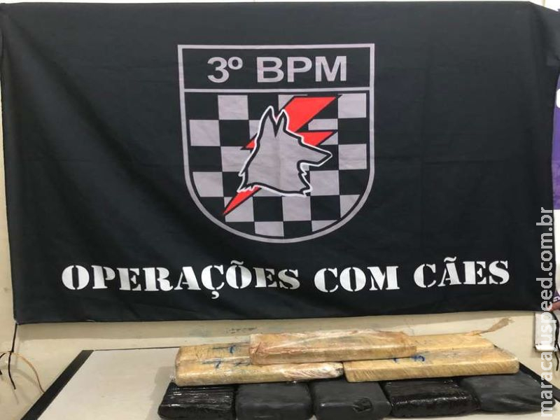 Homem é preso com 10kg de maconha na rodoviária Homem é preso com 10kg de maconha na rodoviária