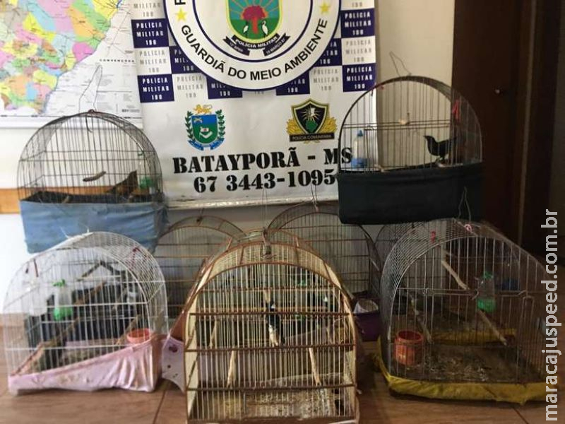 Idoso é autuado em R$ 9,5 mil por manter aves silvestres em cativeiro, inclusive, ave em extinção Idoso é autuado em R$ 9,5 mil por manter aves silvestres em cativeiro, inclusive, ave em extinção