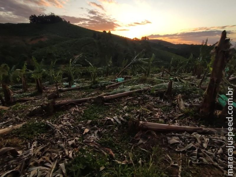 Mapa está atento à situação de produtores atingidos por ciclone no Sul do país, diz ministra