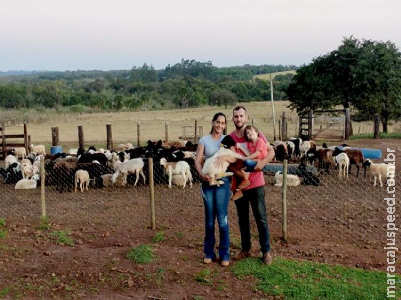 Ovinocultor de Terenos conquista aumento de 2000% na produtividade