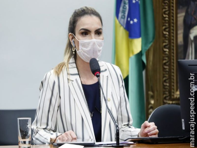 Projeto obriga União a oferecer apostilas virtuais à rede pública de ensino Projeto obriga União a oferecer apostilas virtuais à rede pública de ensino