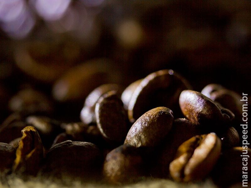 Recomendações inéditas promovem recuperação do cafeeiro após poda drástica