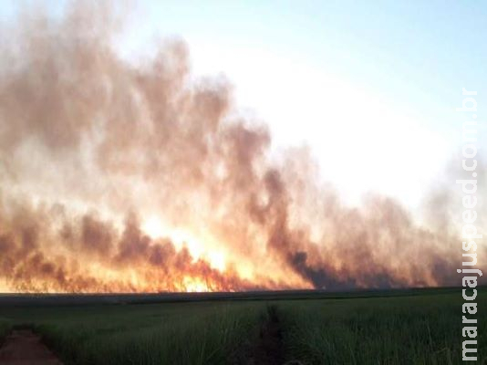Usina é multada em quase R$ 300 mil por incêndio em lavoura