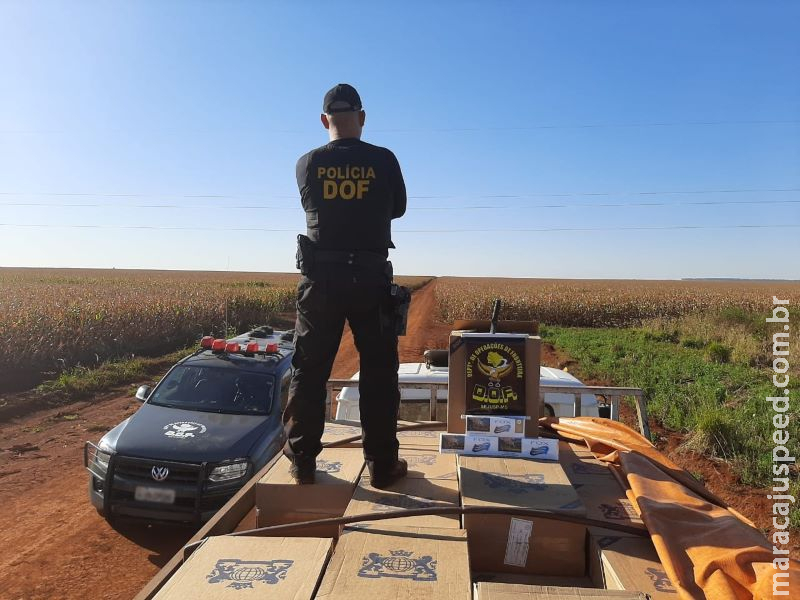 Caminhão carregado com 10 mil pacotes de cigarros contrabandeados foi apreendido pelo DOF Caminhão carregado com 10 mil pacotes de cigarros contrabandeados foi apreendido pelo DOF