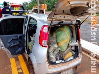 Comboio de traficante e batedores é preso com mais de 400 quilos de drogas Comboio de traficante e batedores é preso com mais de 400 quilos de drogas