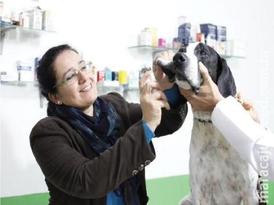 Conhecida por atingir filhotes, cinomose também pode acometer cães adultos Conhecida por atingir filhotes, cinomose também pode acometer cães adultos