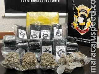 Drogas exóticas: Polícia apreende haxixe marroquino e ‘purple weed’ Drogas exóticas: Polícia apreende haxixe marroquino e ‘purple weed’
